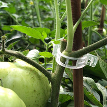 Laden Sie das Bild in den Galerie-Viewer, Kunststoffring zum Halten von Pflanzen