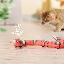 Laden Sie das Bild in den Galerie-Viewer, Interaktives Schlangenspielzeug für Katzen