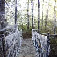 Laden Sie das Bild in den Galerie-Viewer, Halloween Szene Dekoration - Spinnennetz