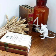 Laden Sie das Bild in den Galerie-Viewer, Tischlampe in Mausform