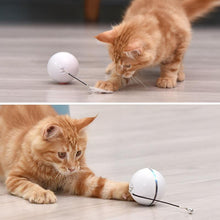 Laden Sie das Bild in den Galerie-Viewer, Freietaube Laser Katzenball mit Feder