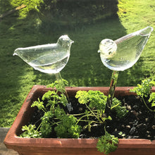 Laden Sie das Bild in den Galerie-Viewer, Selbstbewässernde Glasvögel
