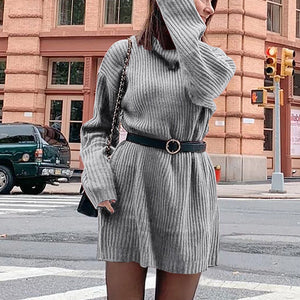Damen Langärmliges Lockeres Pulloverkleid mit Rollkragen