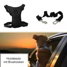 Laden Sie das Bild in den Galerie-Viewer, Sicherheitsgurt für Hunde
