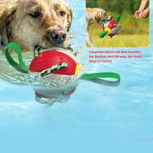 Laden Sie das Bild in den Galerie-Viewer, Bissfestes Hundespielzeug Frisbeefußball