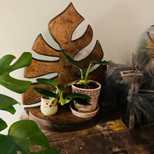 Laden Sie das Bild in den Galerie-Viewer, Monstera Wandregal Aus Holz