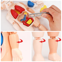 Laden Sie das Bild in den Galerie-Viewer, Frühpädagogisches Spielzeug über menschliche Organe