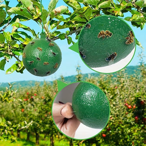 Hängende klebrige Fruchtfliegenfalle zum Schutz der Umwelt