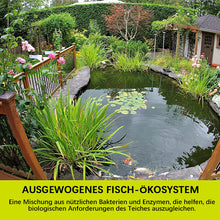 Laden Sie das Bild in den Galerie-Viewer, Ungiftiges Algizid Für Aquarien