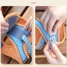 Laden Sie das Bild in den Galerie-Viewer, Haustier Westengurt und Leine Set