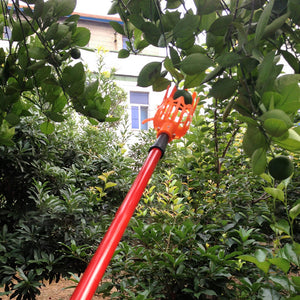 Obstpflückwerkzeug Mit Teleskopstange