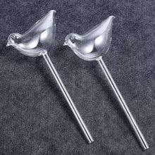 Laden Sie das Bild in den Galerie-Viewer, Selbstbewässernde Glasvögel