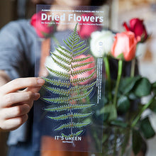 Laden Sie das Bild in den Galerie-Viewer, Getrocknete Blumen Sticker Set