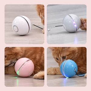 Freietaube Laser Katzenball mit Feder