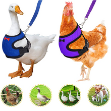 Laden Sie das Bild in den Galerie-Viewer, Bequemes und atmungsaktives Gummiband für Haustiere