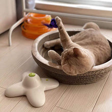 Laden Sie das Bild in den Galerie-Viewer, Glitzer Schmetterling Lustiger Katzenstick