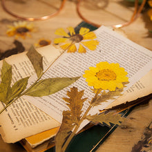Laden Sie das Bild in den Galerie-Viewer, Getrocknete Blumen Sticker Set