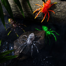 Laden Sie das Bild in den Galerie-Viewer, Spinnen Angelköder