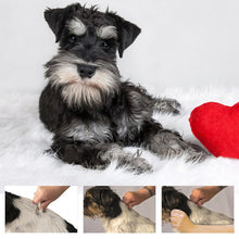 Laden Sie das Bild in den Galerie-Viewer, Tierhaar Entferner Kamm