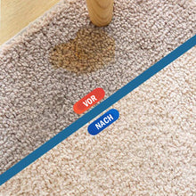 Laden Sie das Bild in den Galerie-Viewer, Schäumender Trockenreiniger