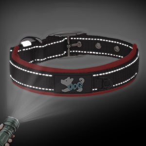 Reflektierendes Hundehalsband Aus Nylon