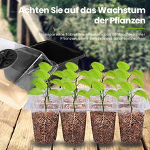 Laden Sie das Bild in den Galerie-Viewer, 12-Loch-Setzlingsbox