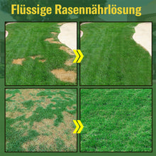 Laden Sie das Bild in den Galerie-Viewer, Flüssige Rasennährlösung