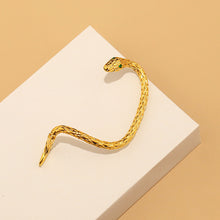 Laden Sie das Bild in den Galerie-Viewer, Kreative Schlangenohrringe Für Damen