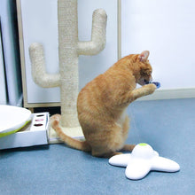 Laden Sie das Bild in den Galerie-Viewer, Glitzer Schmetterling Lustiger Katzenstick