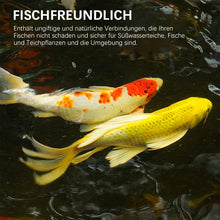 Laden Sie das Bild in den Galerie-Viewer, Ungiftiges Algizid Für Aquarien