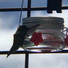 Laden Sie das Bild in den Galerie-Viewer, Wunderschöne Einmachglas Kolibri-Futterstation
