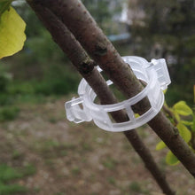 Laden Sie das Bild in den Galerie-Viewer, Kunststoffring zum Halten von Pflanzen