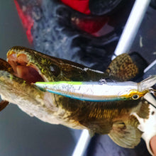 Laden Sie das Bild in den Galerie-Viewer, Magnetischer Simulationsköder