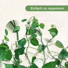 Laden Sie das Bild in den Galerie-Viewer, Pflanzenkletter-Artefakt-Befestigungsclip