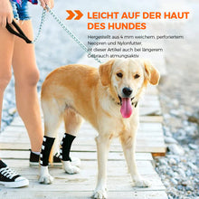 Laden Sie das Bild in den Galerie-Viewer, Haustier-Gelenkstützgürtel