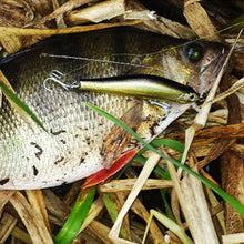 Laden Sie das Bild in den Galerie-Viewer, Magnetischer Simulationsköder