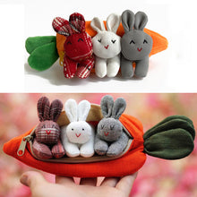 Laden Sie das Bild in den Galerie-Viewer, Süße Karotten Geldbörse