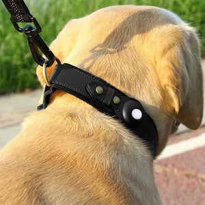 Lederhalsband für Haustiere
