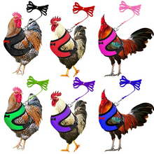 Laden Sie das Bild in den Galerie-Viewer, Bequemes und atmungsaktives Gummiband für Haustiere