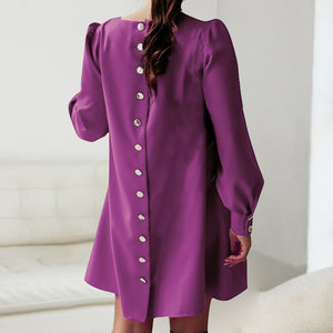 Kleid mit Rundhalsausschnitt und Metallschnalle