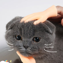 Laden Sie das Bild in den Galerie-Viewer, Lustige Katzen-Massagehandschuhe