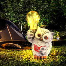 Laden Sie das Bild in den Galerie-Viewer, Kreative Solar-Eulen-Dekoration