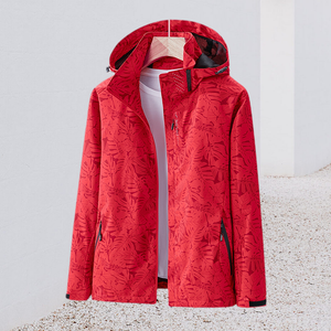 Stylische Winterjacke mit Stehkragen und Kapuze