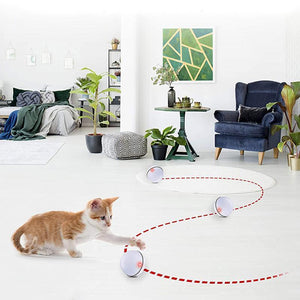 Freietaube Laser Katzenball mit Feder