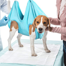 Laden Sie das Bild in den Galerie-Viewer, Haustierpflege Hängematte