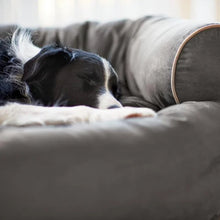 Laden Sie das Bild in den Galerie-Viewer, Schlafsofa für Hunde