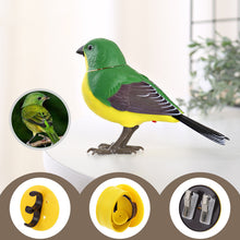 Laden Sie das Bild in den Galerie-Viewer, Kreatives und lustiges Sprachsteuerungssimulation Vogelspielzeug