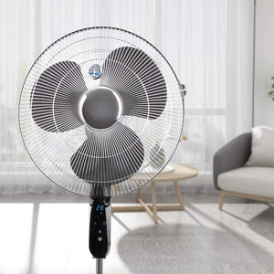 Baum Auto Aromatherapie