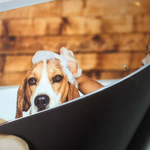 Laden Sie das Bild in den Galerie-Viewer, Magnetischer Bilderrahmen