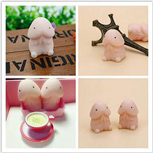 Laden Sie das Bild in den Galerie-Viewer, Kreatives Dekompressionsspielzeug